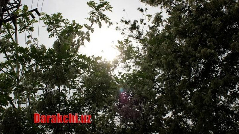 'Ўзбекистонда 6 май куни кутилаётган об-ҳаво маълумоти эълон қилинди'ning rasmi