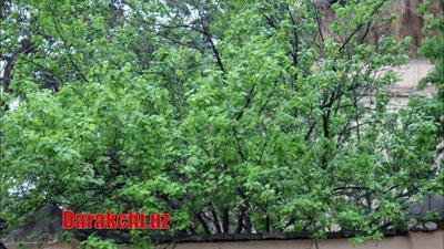 Изрображение 'В Узгидромете опубликовали прогноз на новую рабочую неделю'