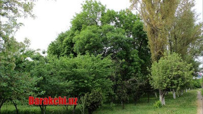 'Бугун Ўзбекистонда кутилаётган об-ҳаво маълум қилинди'ning rasmi