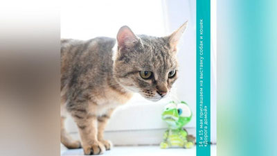 Изрображение 'На территории Ташкентского зоопарка пройдет выставка домашних питомцев «Дорога домой»'