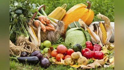 Изрображение 'В Госкомстате назвали овощи, потерявшие в цене в мае'