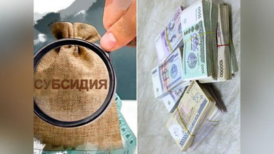 'Навоийда корхона раҳбари  миллионлаб субсидия маблағларини ўзлаштириб юборди'ning rasmi