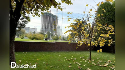 'Hali bargi to`kilib ulgurmagan daraxtlar, biroq poyonlab borayotgan kuz...'ning rasmi