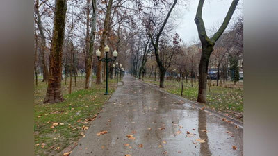 Изрображение 'В Ташкенте к вечеру возможен дождь: погода на 3 февраля'