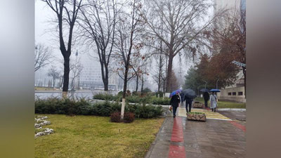 Изрображение 'В Ташкенте дождь, +8: погода на 16 февраля'