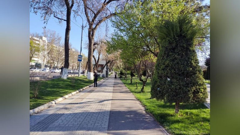 Изрображение 'В Ташкенте воздух прогреется до +20: погода на 16 марта'