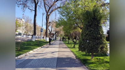 Изрображение 'В Ташкенте воздух прогреется до +20: погода на 16 марта'