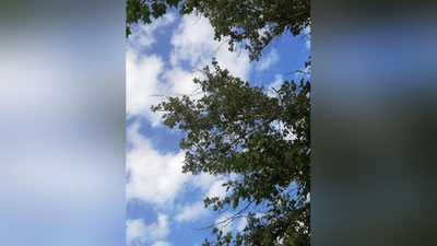 Изрображение 'В Узбекистане воздух прогреется до +42: погода на 15 июня'