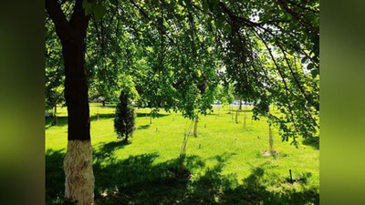 Изрображение 'В Ташкенте небольшой температурный спад: погода на 3 мая'