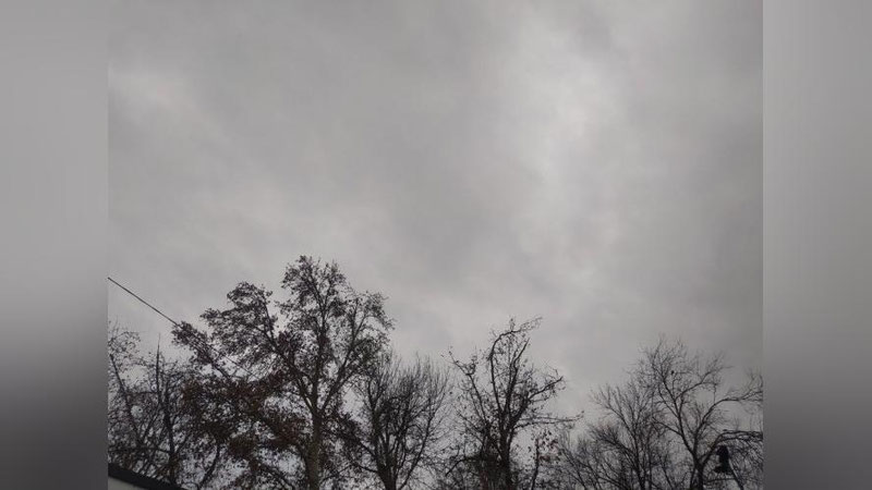 Изрображение 'В Узбекистан вернутся ночные заморозки, в некоторых регионах возможен снег'