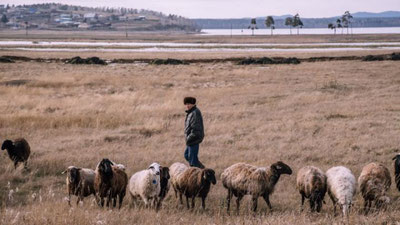 '58 yoshli O`zbekiston fuqarosi Qozog`istonda bir yildan buyon qullikda bo`lgani aniqlandi'ning rasmi