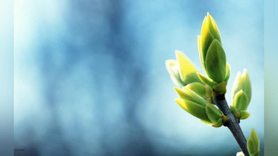 'Ўзбекистонга Эрондан илиқ ва нам ҳаво кириб келиши кутилмоқда'ning rasmi