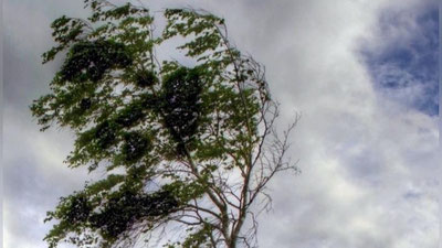 'Poytaxt aholisi kuchli shamoldan ogohlantirilmoqda'ning rasmi