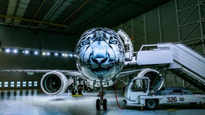 Изрображение 'В АСТАНЕ ПРЕЗЕНТОВАЛИ САМОЛЕТ, РАСКРАШЕННЫЙ ПОД СНЕЖНОГО БАРСА'