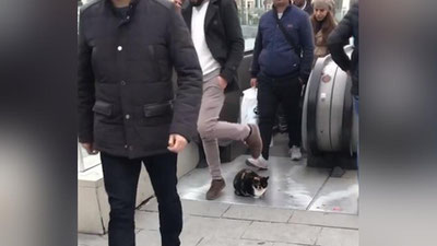 Изрображение 'НЕВОЗМУТИМЫЙ КОТ ИЗ ТУРЦИИ СТАЛ ЗВЕЗДОЙ СОЦСЕТЕЙ (ВИДЕО)'