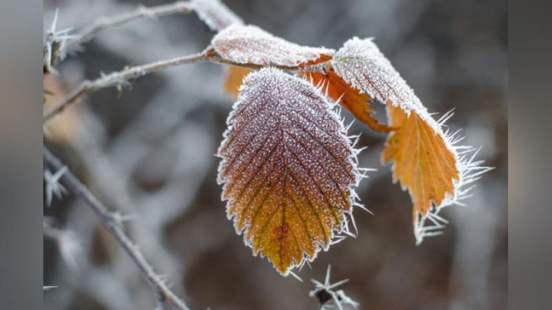 'Эртага Ўзбекистонда қандай об-ҳаво кузатилади?'ning rasmi