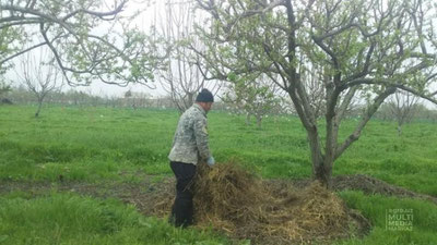 'Совуқ ҳамда ёғингарчиликнинг мева ва сабзавотларга таъсири қандай бўлади?   'ning rasmi