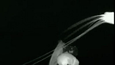 Изрображение 'Ученые впервые сняли на видео гигантскую глубоководную креветку'