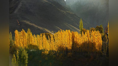 'Ertaga O`zbekiston hududida kuzatiladigan ob-havo haqida ma`lumot berildi'ning rasmi