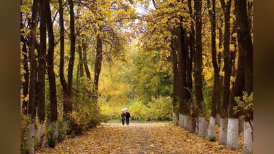 'Бугун Ўзбекистон бўйлаб қандай об-ҳаво кузатилади?'ning rasmi