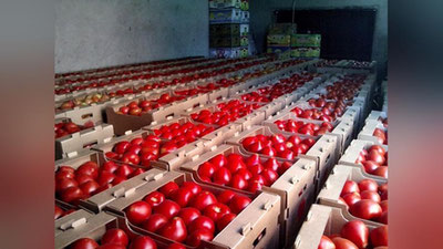 'Qaysi hudud ko`proq pomidor eksport qilgan?'ning rasmi