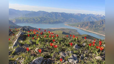 'Ўзбекистонда ҳаво ҳарорати ҳафта ўртасига келиб 32-37° га кўтарилади'ning rasmi