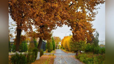 'Ertaga O`zbekistonda havo o`zgaradi'ning rasmi