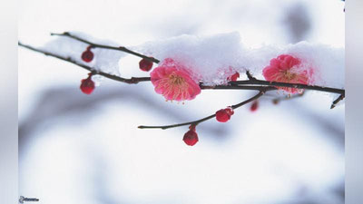 '23 fevral kuni havo harorati keskin tushadimi?'ning rasmi