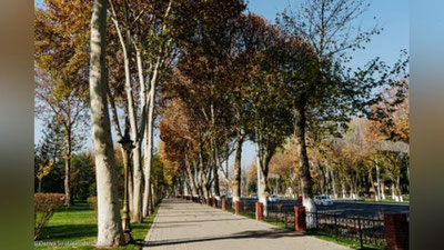 'Bugun O`zbekistonda havo harorati ko`tariladi. Ob-havo ma`lumoti'ning rasmi