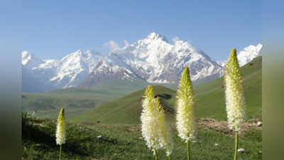 'Sinoptiklar O`zbekistonda aprel oyida ob-havo qanday bo`lishi haqida xabar berdi'ning rasmi