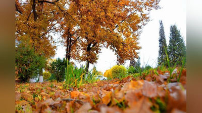 'Bugun O`zbekistonda qanday ob-havo kuzatilishi ma`lum qilindi'ning rasmi