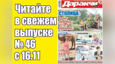 Изрображение 'ПОЧЕМУ СРУБАЮТ ДЕРЕВЬЯ И ВСЕГДА ЛИ ЭТО ЗАКОННО?'
