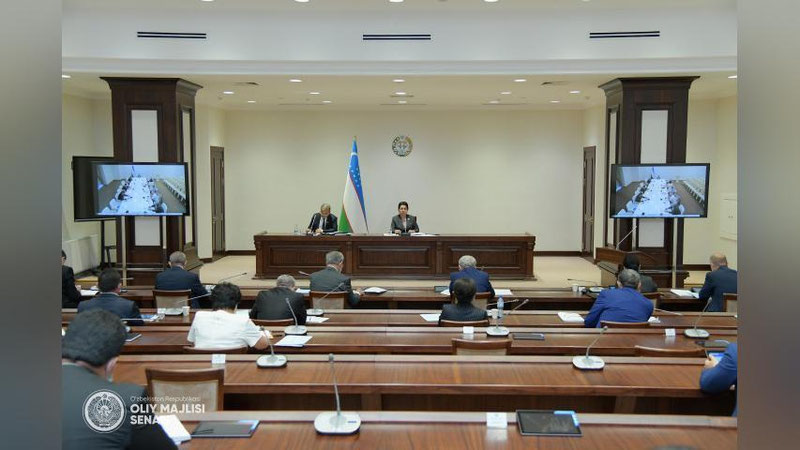 'Fuqarolarni tibbiy ko`rikdan o`tkazish va nogironlikni aniqlash masalalari Senatda muhokama qilindi'ning rasmi