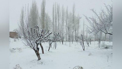 'Bugun O`zbekistonning 7 ta hududida qor yog`ishi kutilmoqda'ning rasmi