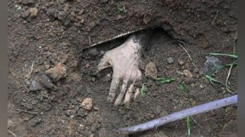 'Сирдарё ҳудудидаги далалардан жасад топилди. У ҳарбий бўлиши мумкинлиги айтилмоқда'ning rasmi