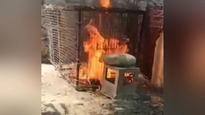'Farg`onada mushukni qafasga solib, tiriklayin yoqib yuborgan shaxslarga 3 sutkadan 7 sutkagacha qamoq jazosi tayinlandi'ning rasmi
