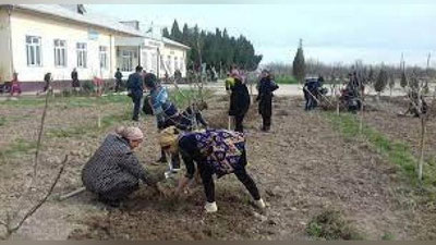 'O`qituvchilarni majburiy mehnatga jalb qilgan mansabdorlarga nisbatan jazo chorasi kuchaytirilmoqda'ning rasmi