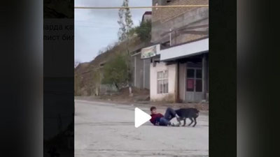 'Namanganda it ikki nafar bolani taladi (video)'ning rasmi