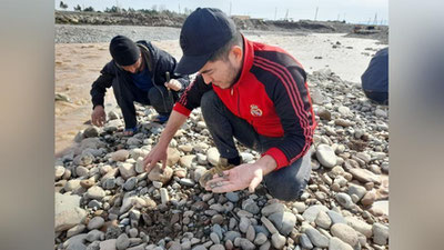 'Surxondaryodan topilgan tangalar Mirzo Ulug`bek davriga oidligi tasdiqlandi'ning rasmi