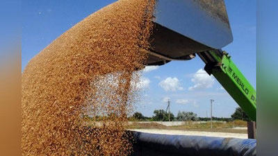 'Qirg`izistonda un va bug`doy eksportiga taqiq qo`yildi'ning rasmi