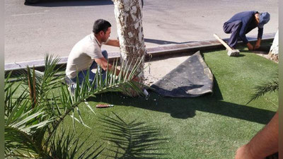 Изрображение 'Более 600 деревьев в Сурхандарьинской области очистили от бетона, предметов рекламы и освещения'