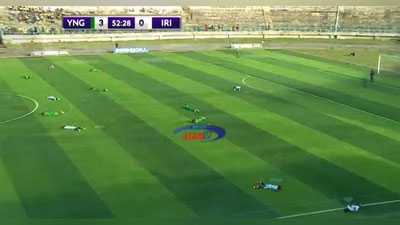 Изрображение 'Пчелы атаковали футболистов во время матча в Танзании (видео)'