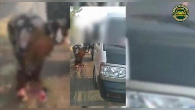 Изрображение 'В Сурхандарье остановили "резиновый" Дамас с 12-тью пассажирами (видео)'