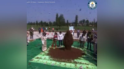 Изрображение 'Житель Китая установил мировой рекорд по количеству пчел на теле (видео)'