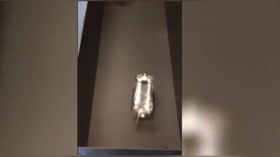 Изрображение 'Крыс научили водить автомобили (видео)'