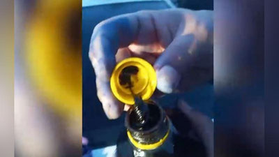 Изрображение 'СГБ сообщила об изъятии партий наркотических средств в разных регионах страны (видео)'