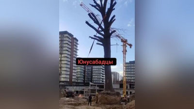 Изрображение 'Минэкологии отстранило начальника Ташкентского управления экологии до 1 февраля'