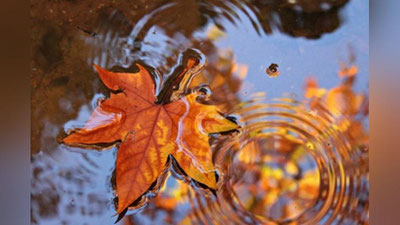 'Sinoptiklar oktyabr oyini tavsiflab, noyabr boshida ob-havo qanday bo`lishini ma`lum qildi'ning rasmi