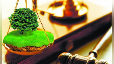 'Fermerning ovoragarchiligiga hokimlarning “o`ynoqi” qarori sababmi?  Bosh prokuraturani protest kiritishga undagan masala...'ning rasmi