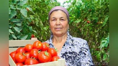 'O`zbekistonda 2018 yil 1 iyuldan boshlab tomorqachilarga pensiya beriladi'ning rasmi